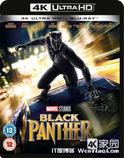 美影动作/科幻 黑豹 Black Panther (2018)「4K UHD 蓝光破解版」